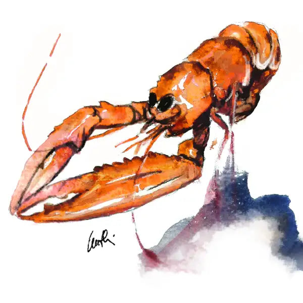 Acquerello Nephrops Tenuta Del Paguro