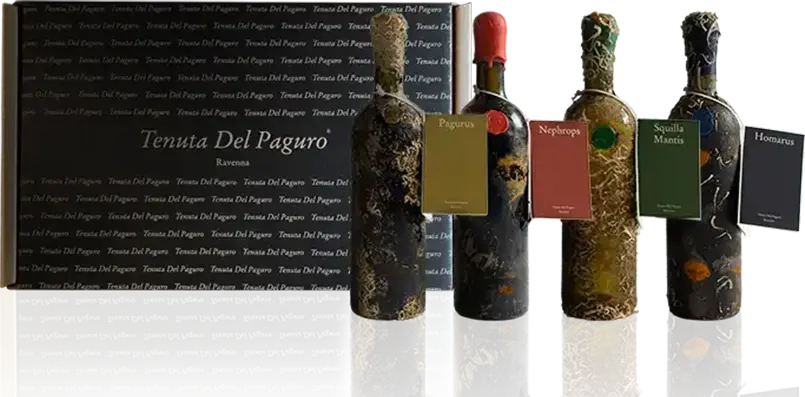 Collezione degustazione vini Tenuta Del Paguro